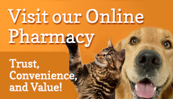 online pharmacy banner