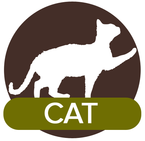 cat icon